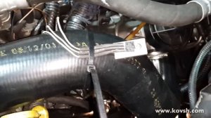 Вынесеный транзистор с блока управления ТНВД VP44