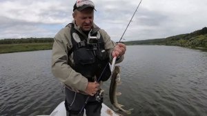 Ловля щуки на Оке. Джиг & Твич