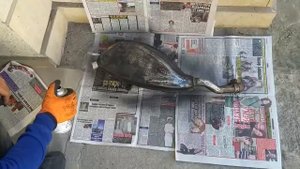 Vespa gts 300 exhaust progect-1