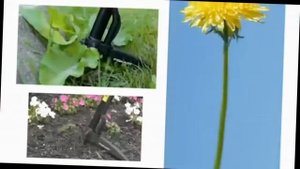 Инструмент для удаления сорняков Fiskars Smartfit 139960