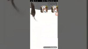 По моему экрану бегает крыска ).....