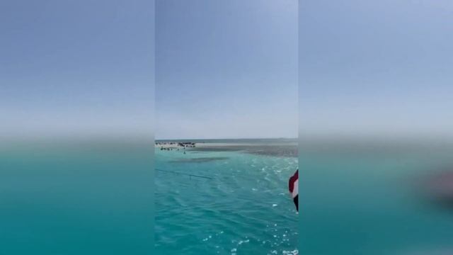 Египет сентябрь 2021 смотреть онлайн