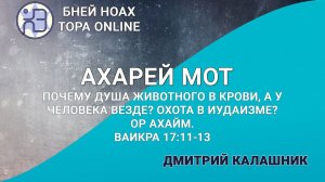 Почему душа животного в крови, а у человека везде? Охота в иудаизме? Ор аХайм. ВКРА 17:11-13 Ахарей
