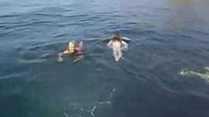 Видеоклип купание в Балаклаве