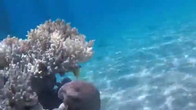 28 июля 2019 г. смотреть онлайн