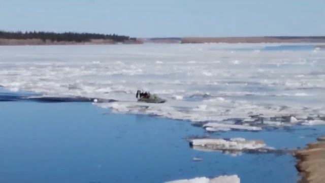 Ирбис сырыыта смотреть онлайн