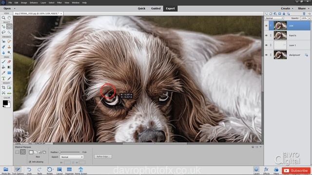 Oil Paint Effect Photoshop Elements смотреть онлайн