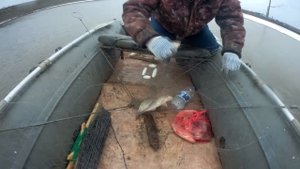 ВЕСЕННЯЯ РЫБАЛКА НА ХАПУГУ ПО ОТКРЫТОЙ ВОДЕ С ЛОДКИ  Карась,щука,Конь