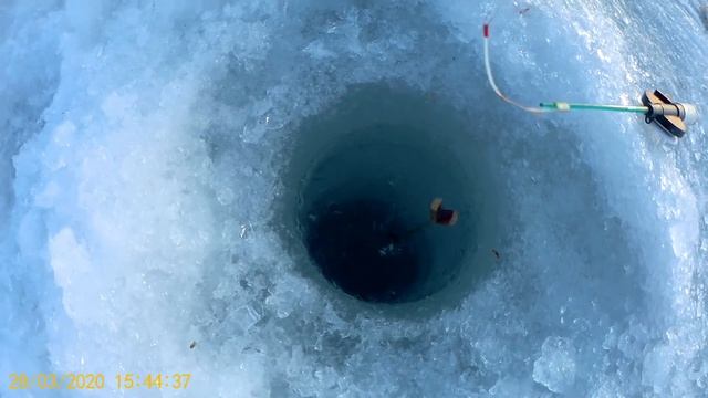 Рыбалка на карася. Оз. Лебяжье. смотреть онлайн