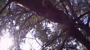 Топор Fiskars "Solid"