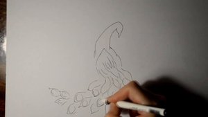 Рисуем павлина/Как нарисовать павлина/Painted peacock