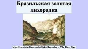 Бразильская золотая лихорадка