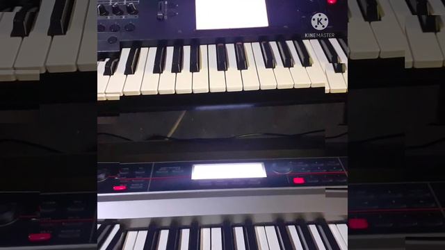 Korg Krome Grand Piano Kontakt Plugins: Using my Korg M50 and Korg Kross 1 88 as midi Keyboard