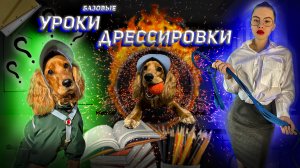 Базовые уроки дрессировки собаки. Учим команды сидеть, лежать, кружись, ждать и змейка.