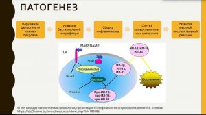 Татуировка психосоциальные и медицинские аспекты. Марченко Дарья Александровна, Яцковский Кирилл С.