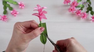 Рождественник (Декабрист). Интерьерные цветы МК/Christmas cactus DIY
