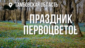 Первоцветы Тамбовской области