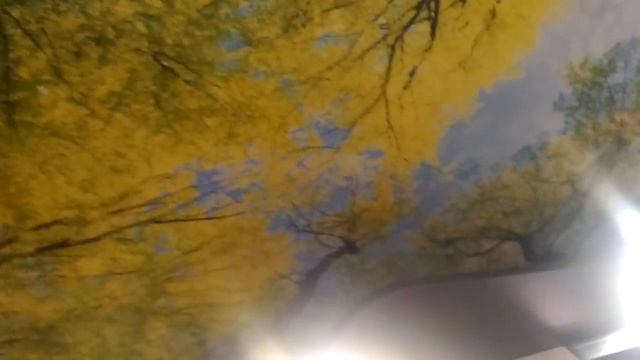 НАТЯЖНОЙ ПОТОЛОК С ФОТОПЕЧАТЬЮ В ПРИХОЖУЮ ОТ «УРОВЕНЬ64» смотреть онлайн