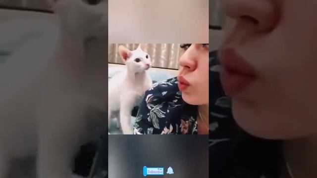 Улыбнись ???Котики это вам не абы кто