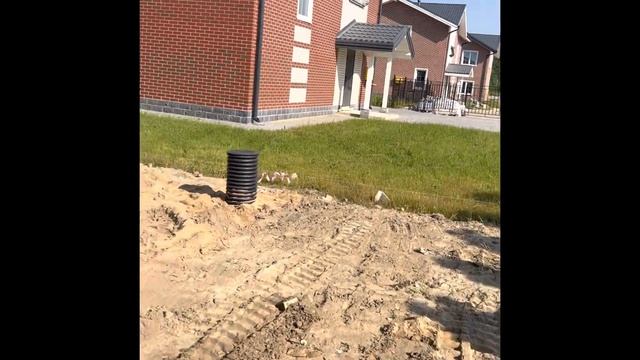 Газон от А до Я #дача #строительство #сад #благоустройство #дом #дренаж #beforeafter смотреть онлайн