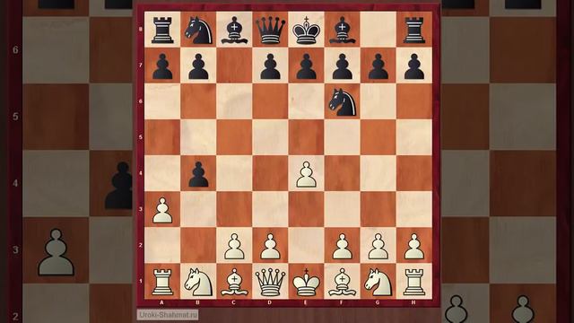 Шахматы. Ловушки в дебюте - Сицилианский гамбит смотреть онлайн