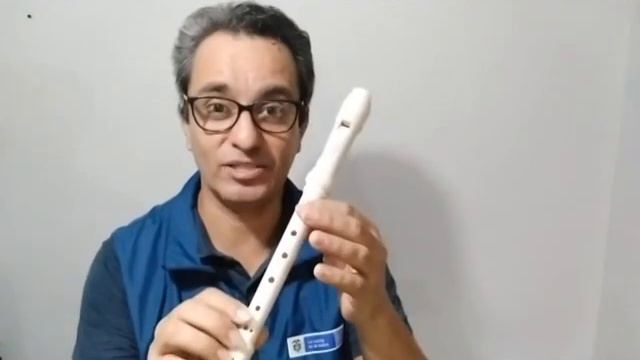 Desarrollo Instrumental. Flauta dulce. Canción con las notas Si La y Sol смотреть онлайн