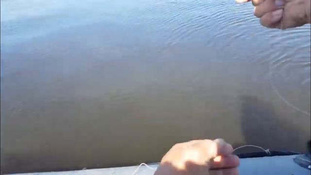 КАМА. Рыбалка на "ЯЙЦА-КОЛЬЦО" с ночёвкой. смотреть онлайн