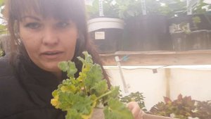 Посылка от Марины, канал " Цветочный рай с Мариной"