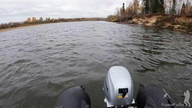 Осенняя щука. Рыбалка троллингом на Вычегде. Pike for trolling смотреть онлайн