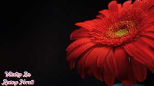 Vitaliy Be - Rainy Forest Beautiful Flowers Collection цветы.