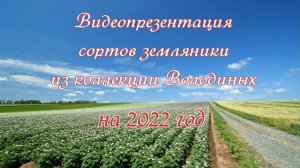 Видеопрезентация земляники на 2022 г.