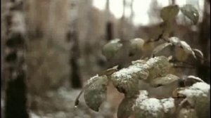 Майя Кристалинская за кадром Люди как реки