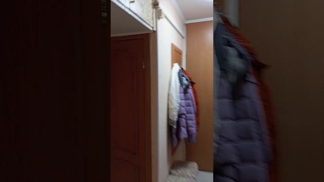 1 комнатная квартира в Троицке смотреть онлайн