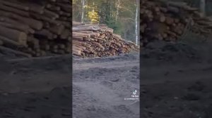 Красноярский край, Манский район, п.Орешное,  беспредел, продолжение в след.видео