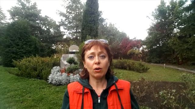 Рекомендации для путешествий как избежать отёков смотреть онлайн