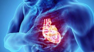 Такая разная капуста | Какой вид капусты полезнее для организма | Польза и вред капусты