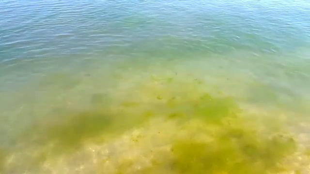 Мантра Шри Нарасимха Пранама, молитвы Господу Нарасимхе смотреть онлайн