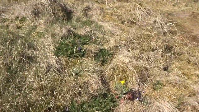 Дания 2019. Обзор нашего дома снаружи. Bjerregard, Hvide Sande, Dänemark