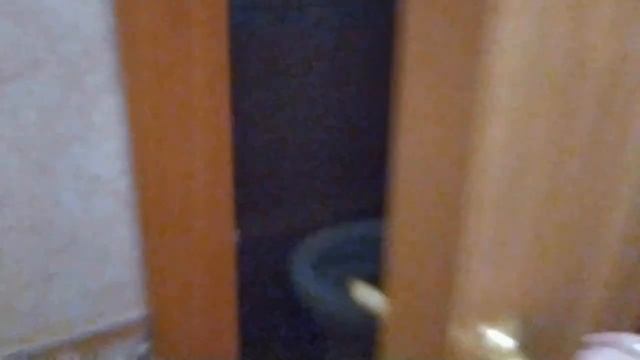 Мадагаскар junior/ Обзор детского центра/ Лазерный лабиринт.