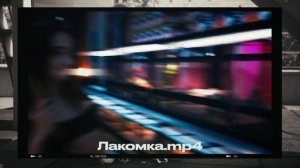 ГУЛЯЕМ С КАПСКИМ ВАРАНОМ | А как содержать его дома?