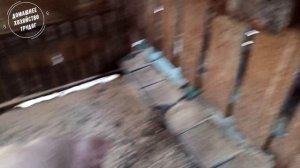 ///Отрезал Яйца Кабану!!! ///