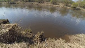 ГОЛАВЛЬ НА  КОРКУ ХЛЕБА