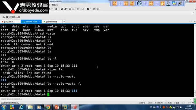 L015-老男孩高级架构师体系-docker-6.docker数据管理 смотреть онлайн