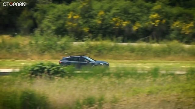 Cupra Formentor 2.0 TSi 4Drive (310hp) | OTOPARK.com смотреть онлайн