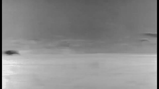 Wild Boar Down! Pulsar Krypton FXG50 used to hunt Wild Boar смотреть онлайн