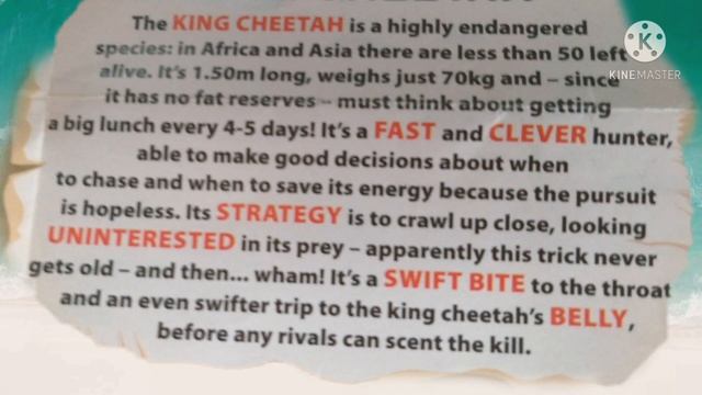 ACINONYX JUBATUS REX|Королевский гипард[Kiler WildCraft[EN,RU] смотреть онлайн