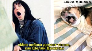 Собаки ПОХОЖИЕ НА ЛЮДЕЙ как две капли воды Вызывают Недоумение и Ужас!!