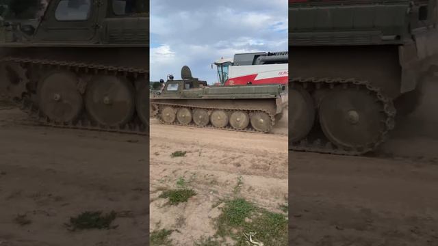 ВОЛЬЕРНАЯ ОХОТА НА КАБАНА