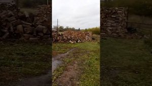 Пекарня в деревне"Кальтовка"