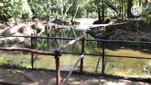 Прогулка в парке #Момбаса #mombasa #кения #kenya